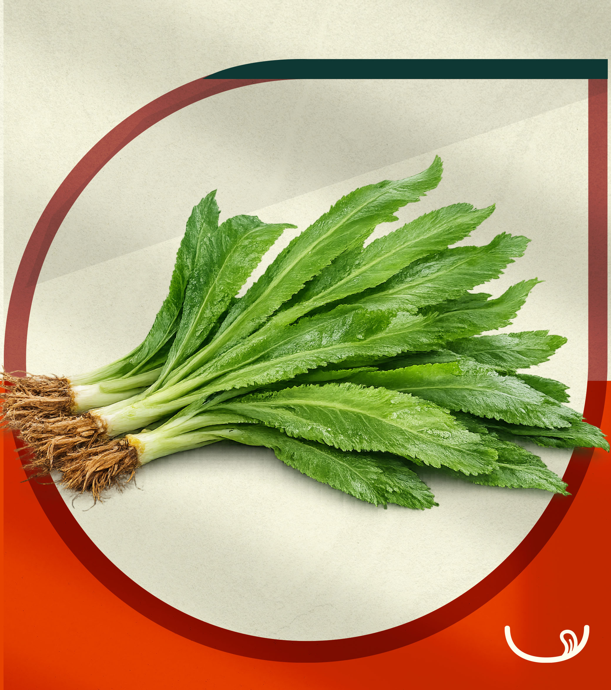 Cilantro Ancho (Fresco) 100g